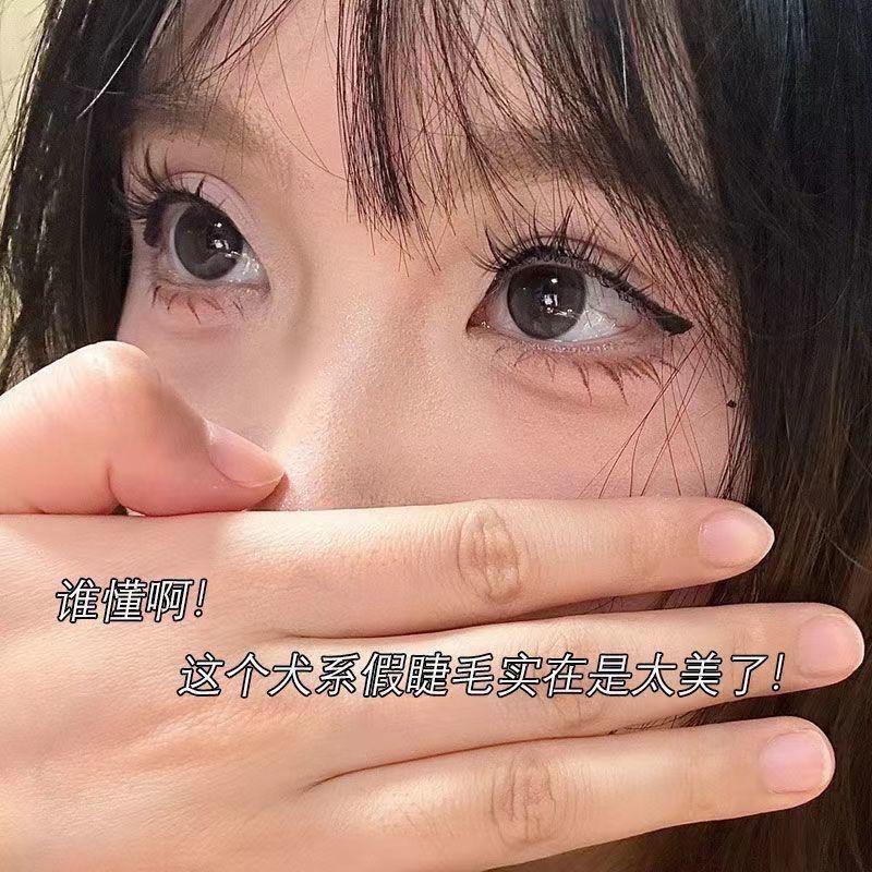 喵喵咪～～