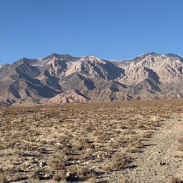 大自然的搬运工