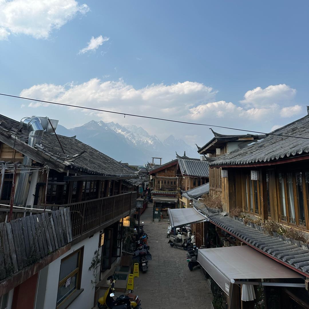 东东