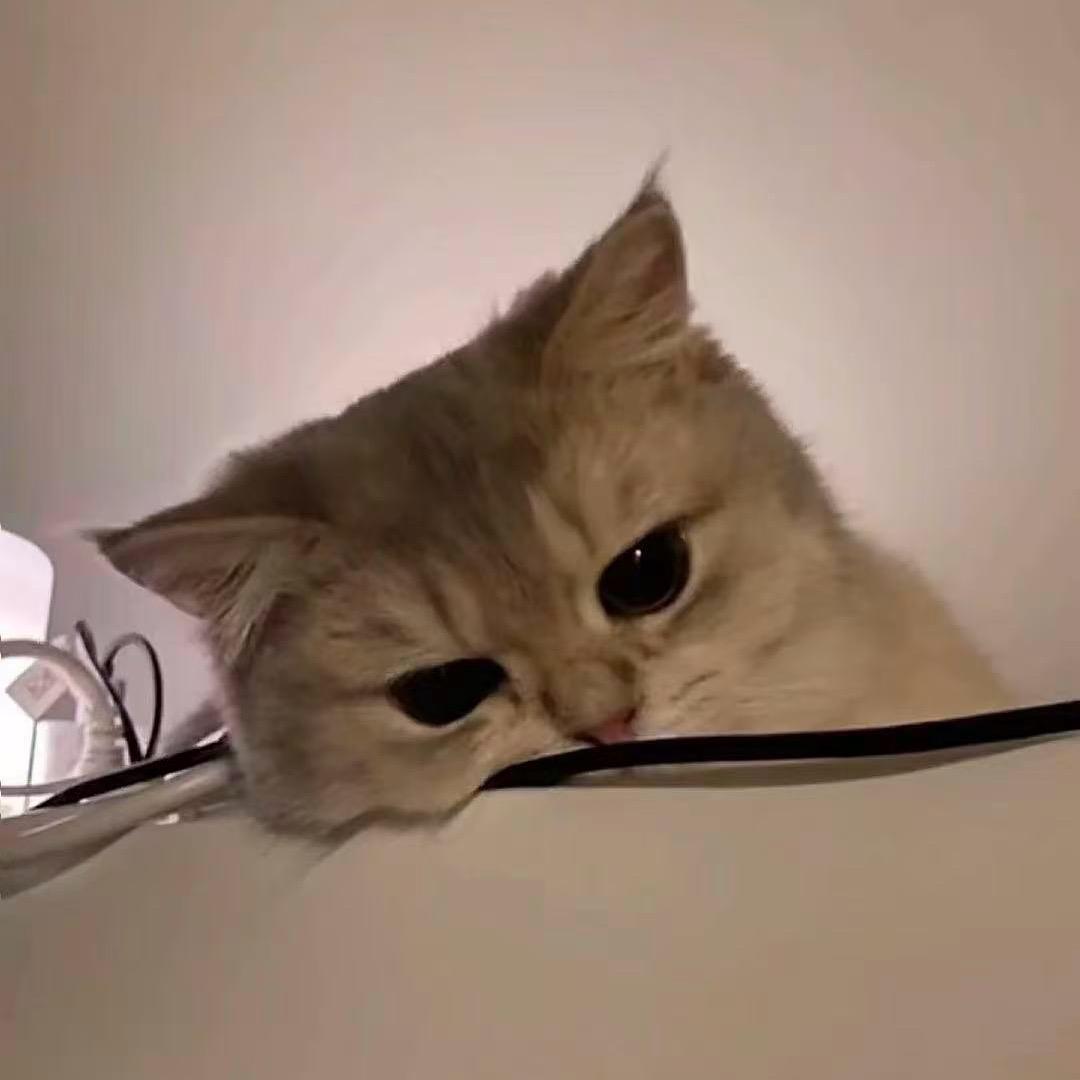 一葑邀请函