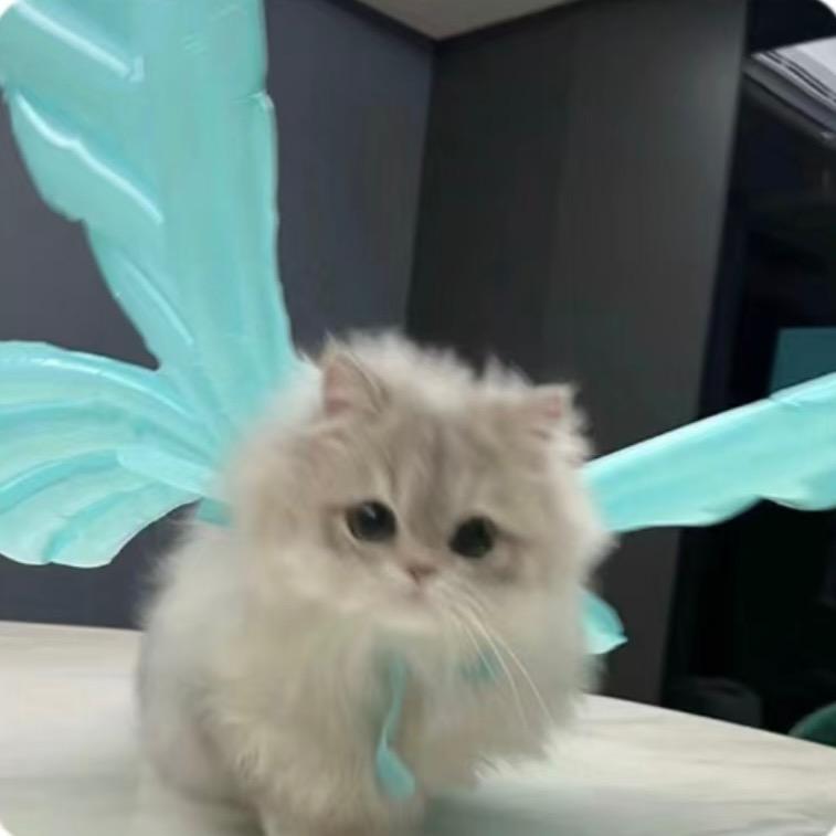 𝙔𝙤𝙪𝙮𝙤𝙪_