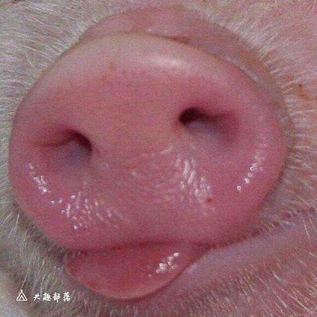 、。。