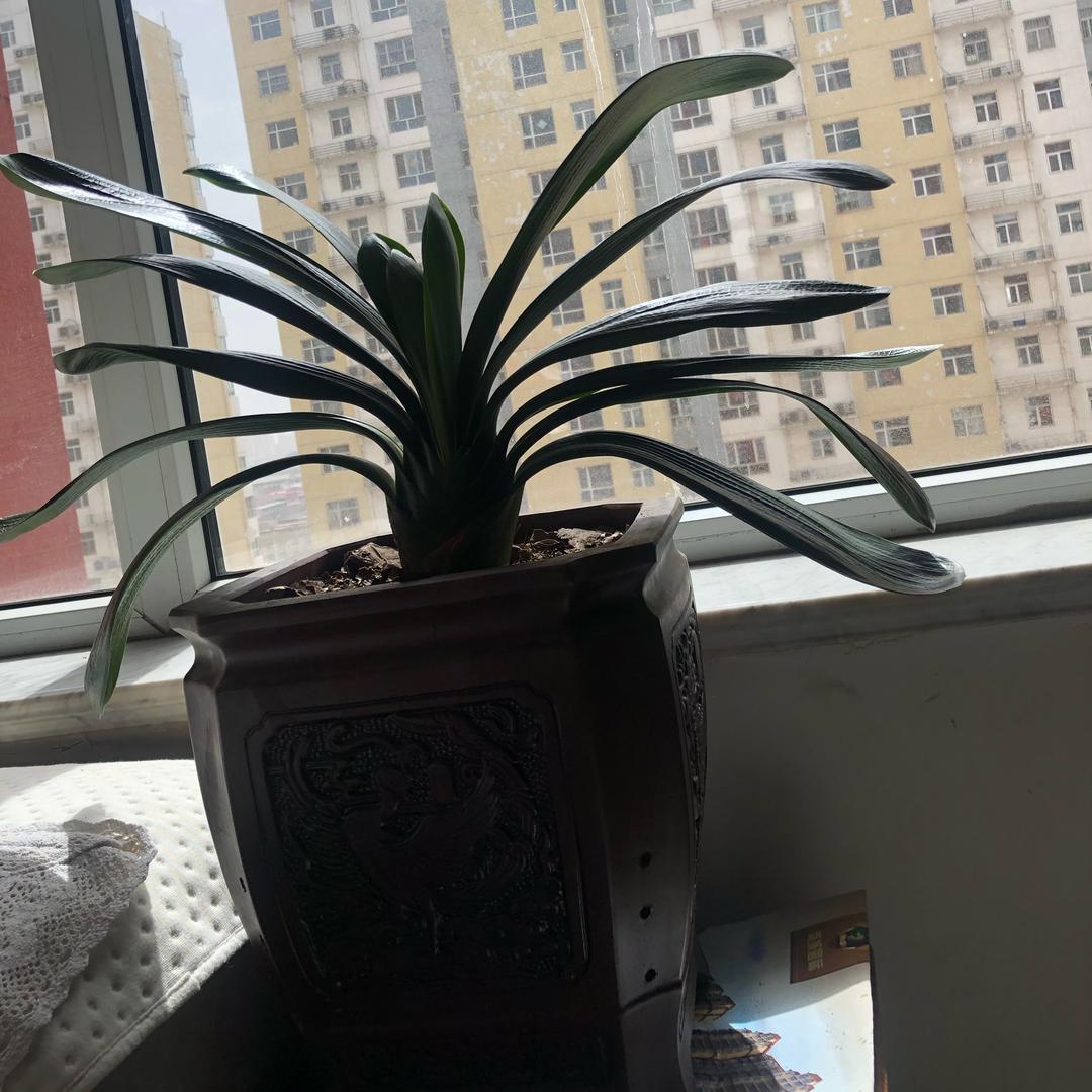 64年的龙，拒绝私聊😅