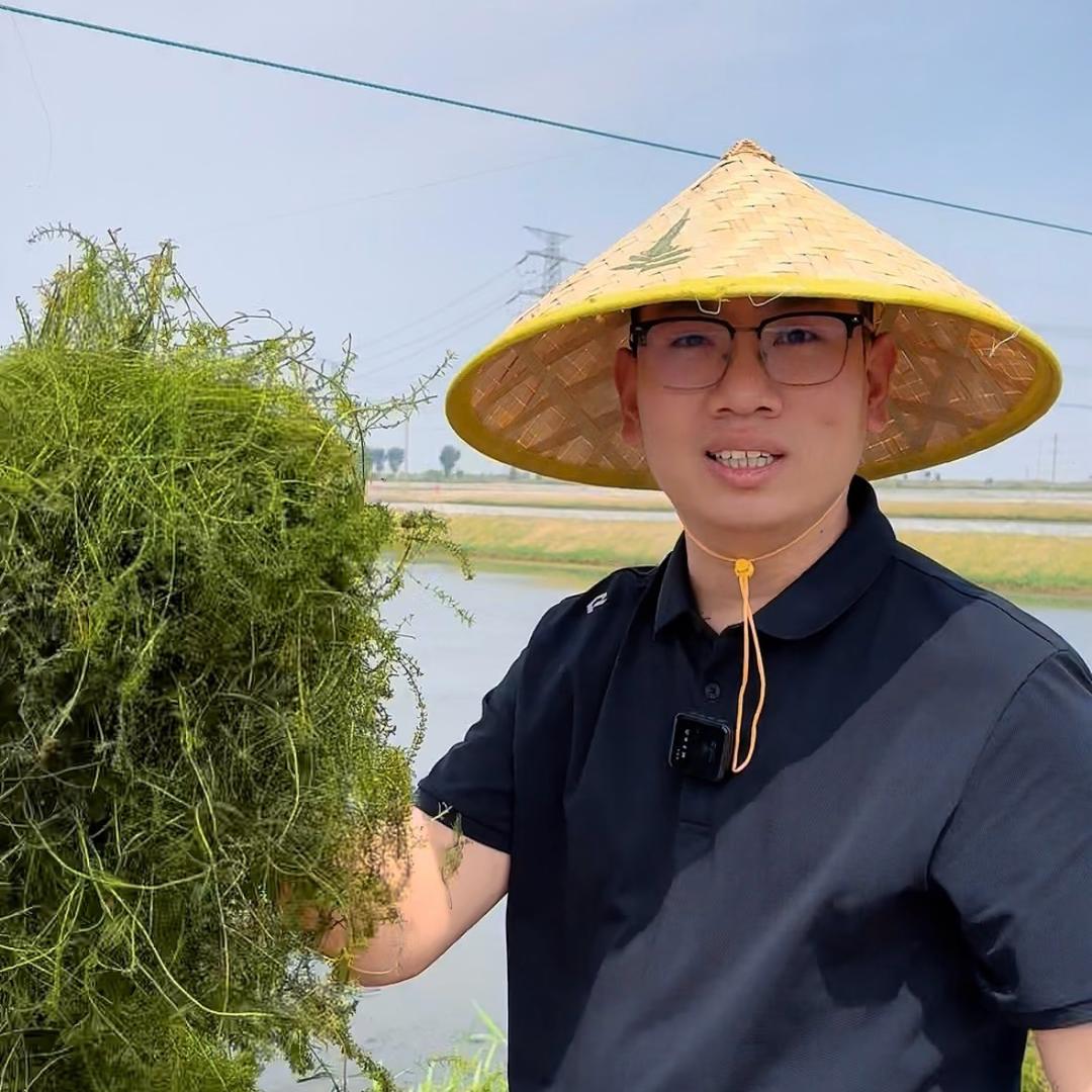 黄河口蟹先生