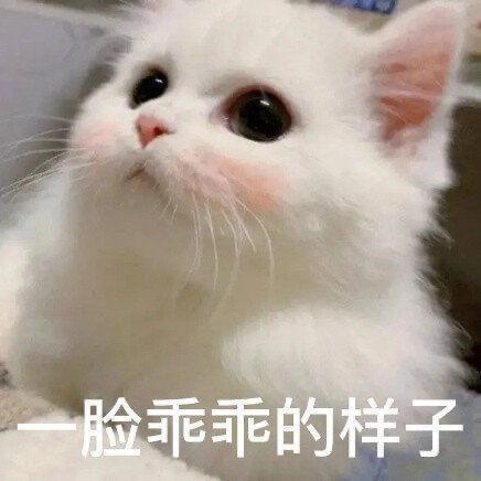 晨妹妹
