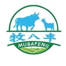 牧八丰饲料马平云
