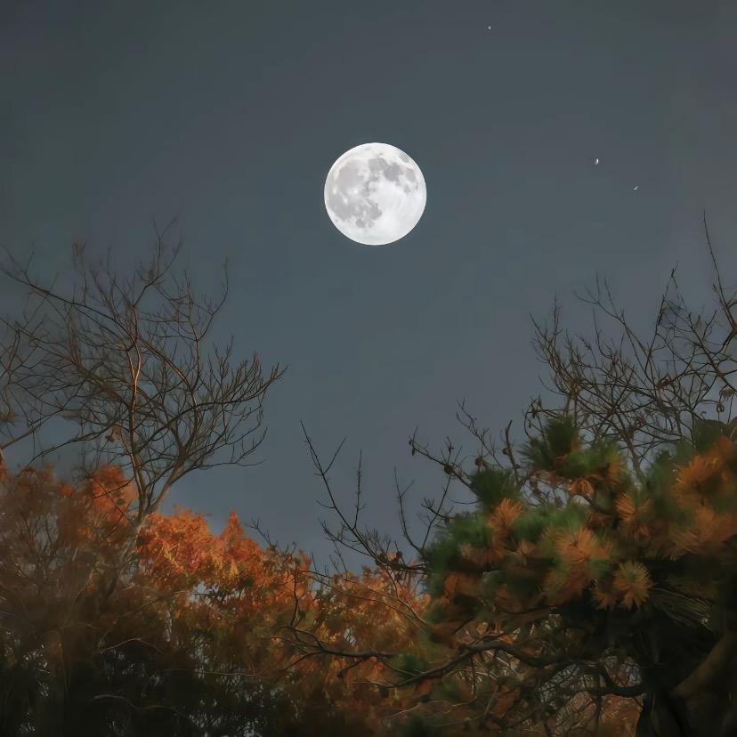 跨越千年来爱你💗