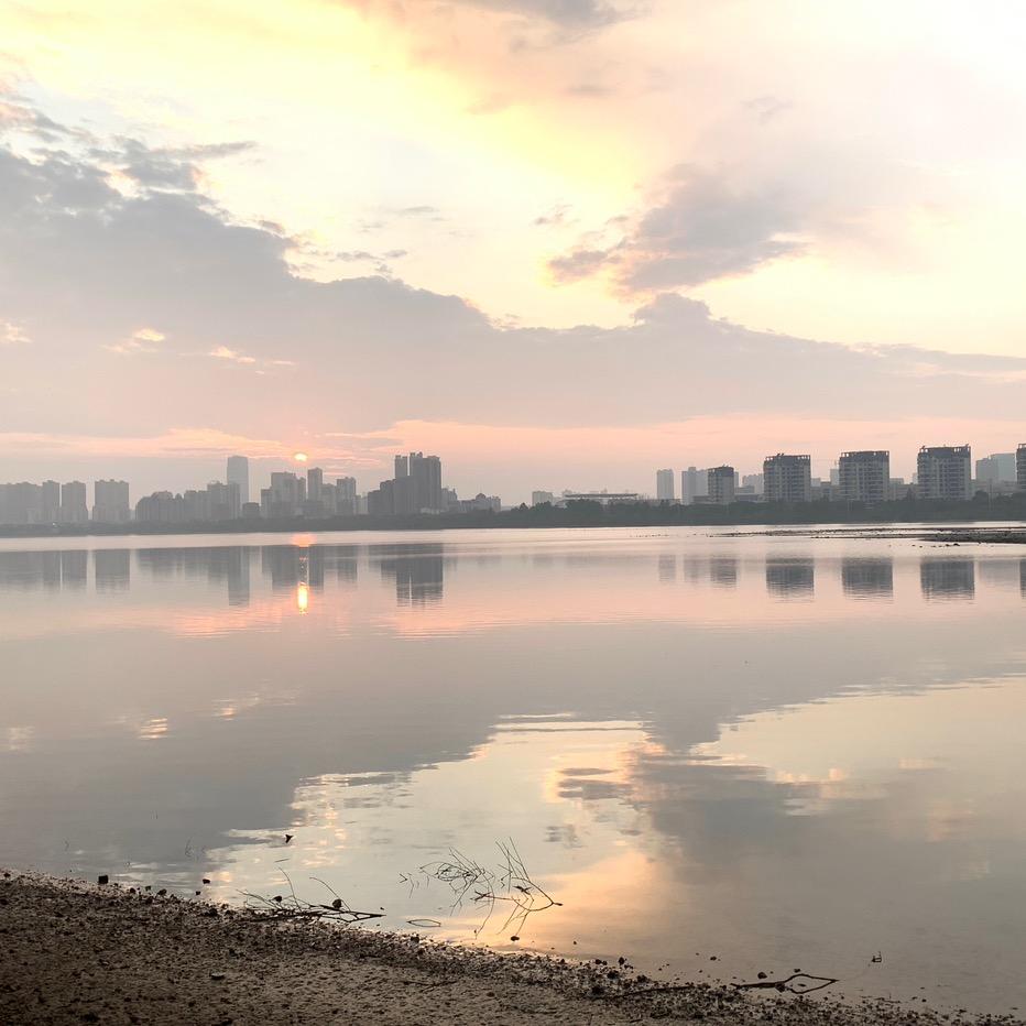 陈陌上开花