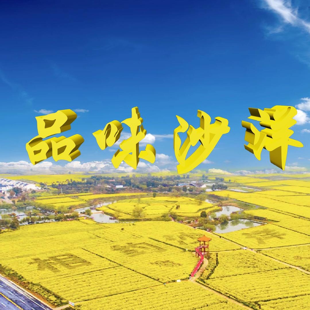 品味沙洋
