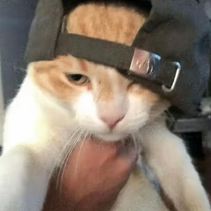 活着别让嘴遭罪