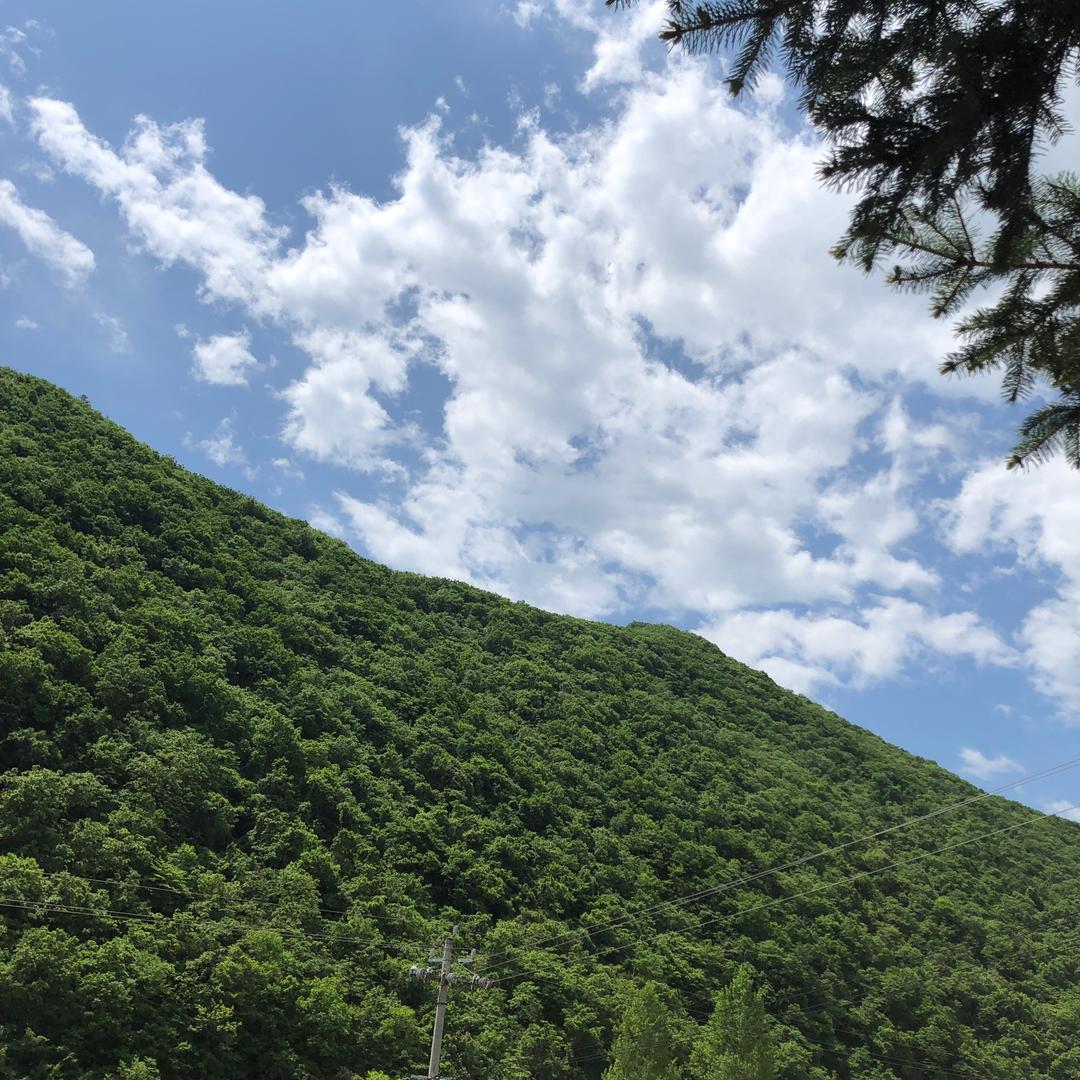 鸭绿江的传说