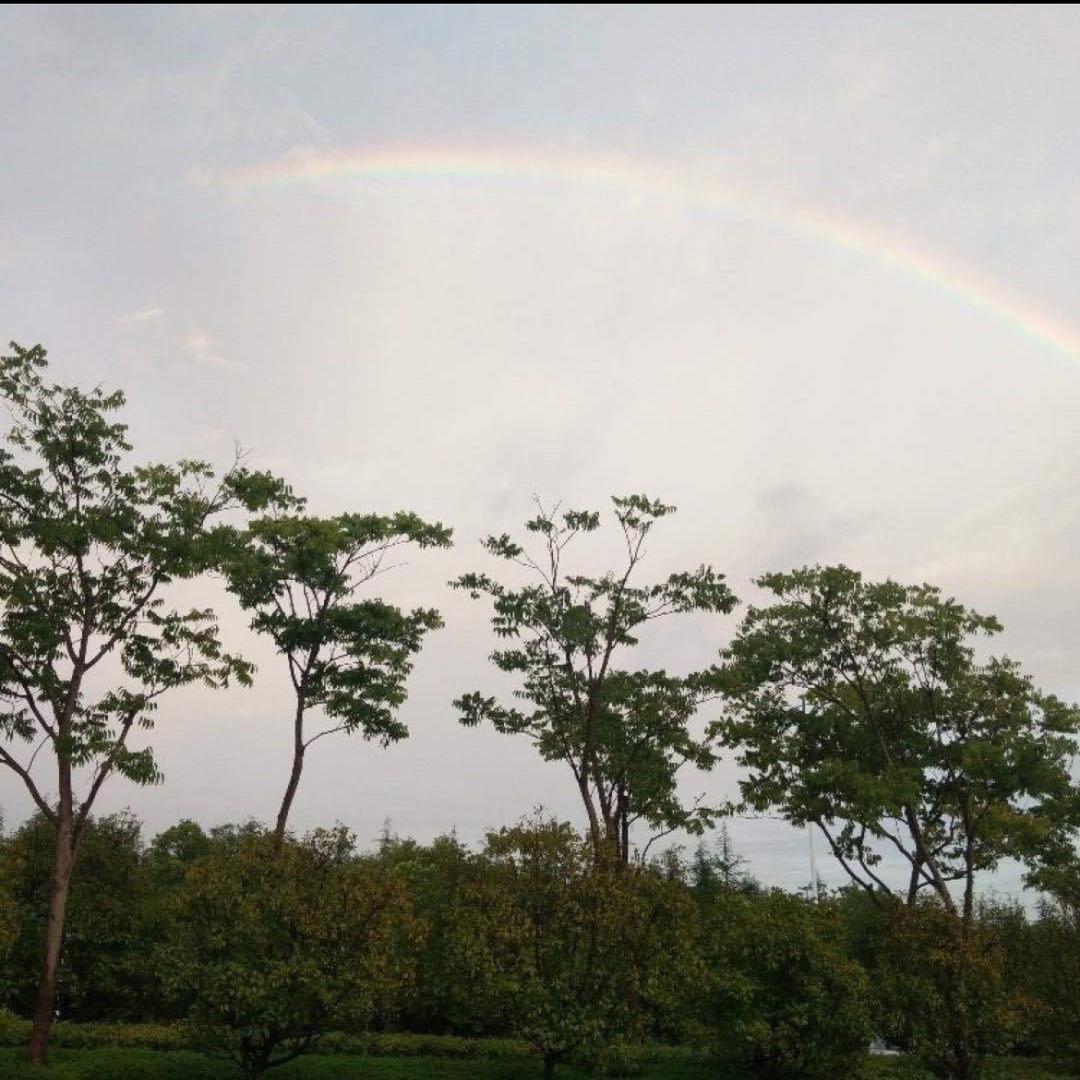 🌾幸福快乐的小女人🌾🌾