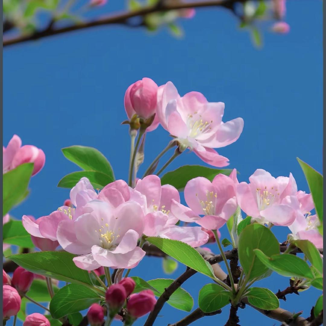 阿樱德峰百货店