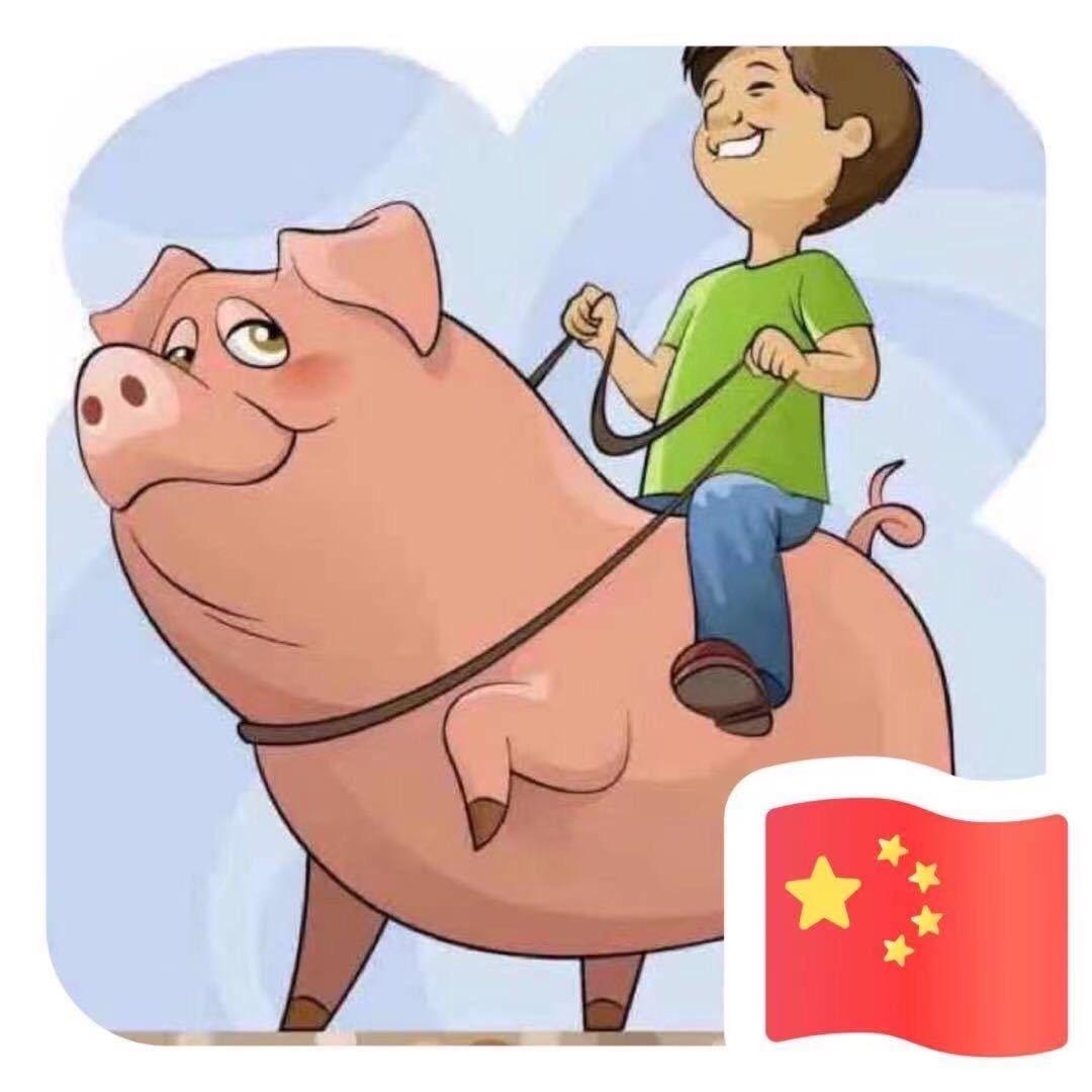 骑猪兜风BI3XJK