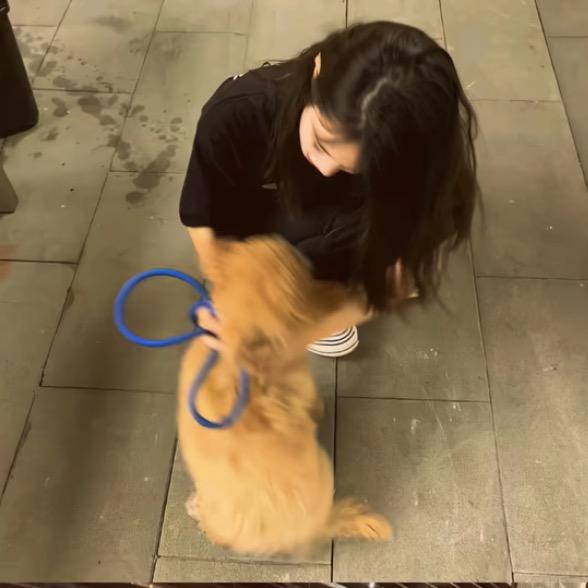 我好困.