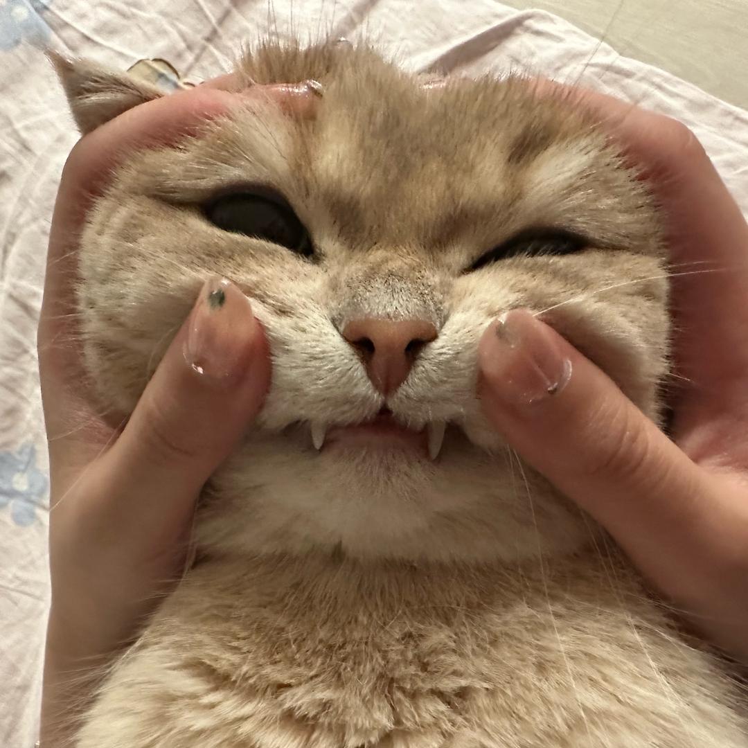 krisyj
