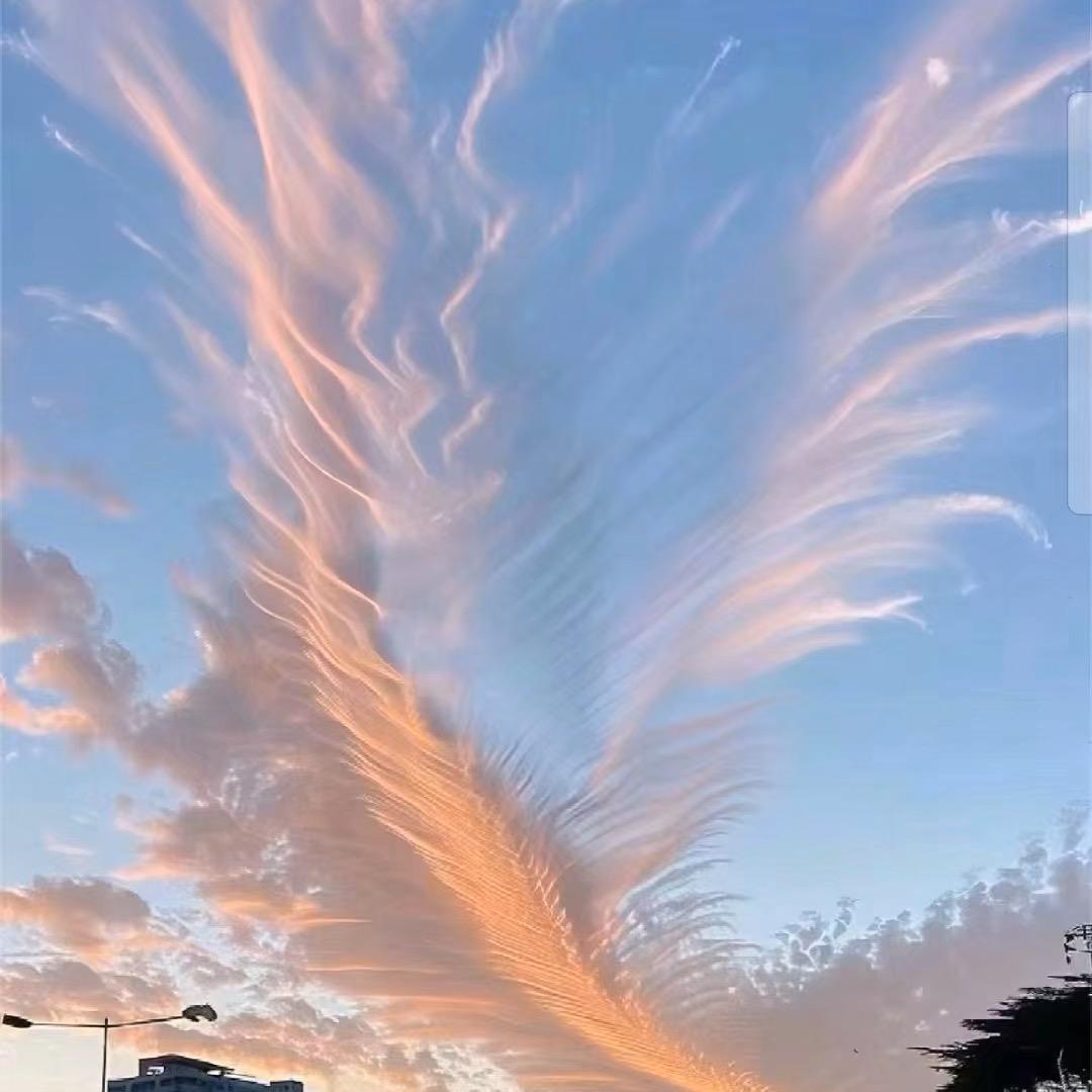 玄坛宗门-精怪十二科