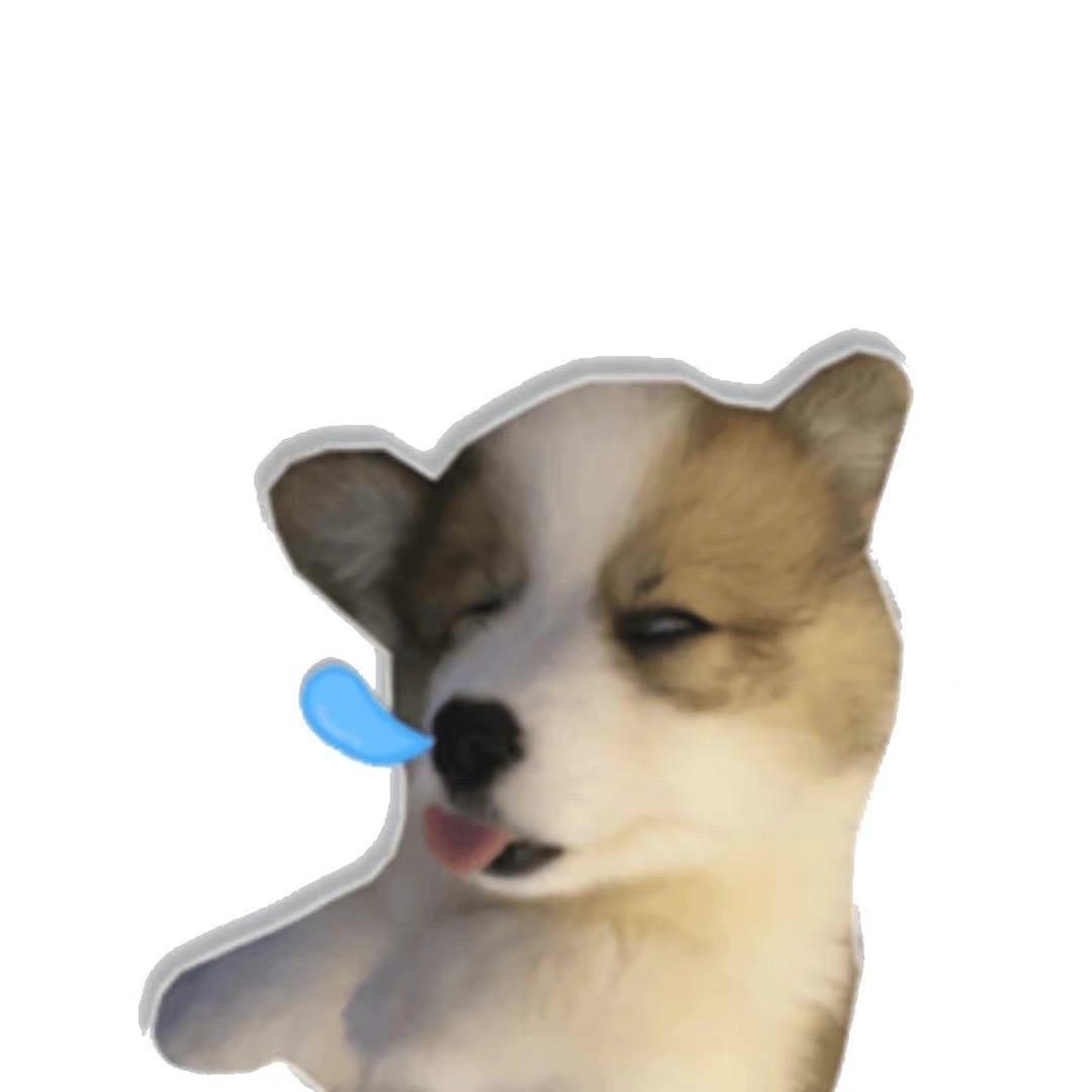 屁蛋