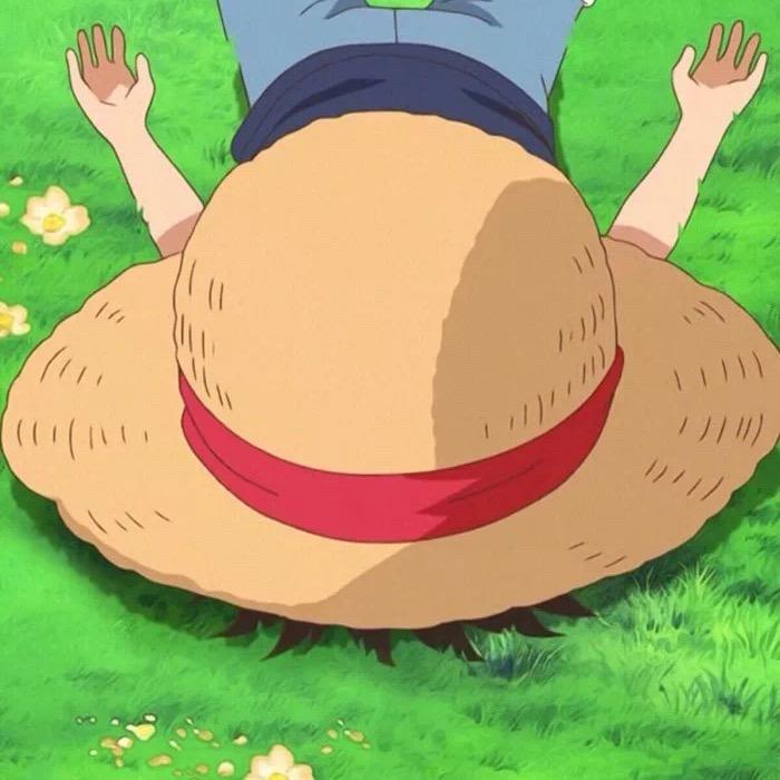 英俊雪白的阿菜菜🌬️