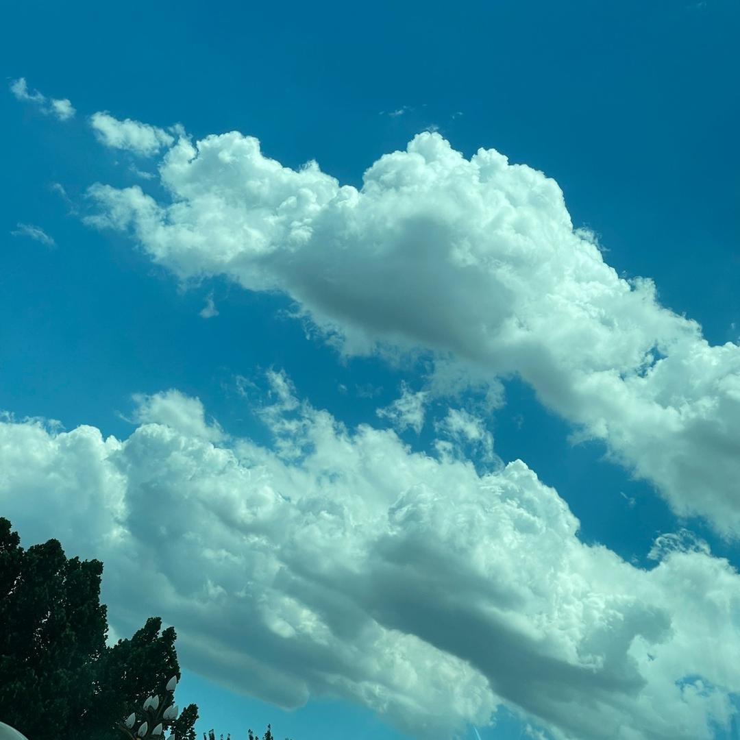 做个俗人不谈情