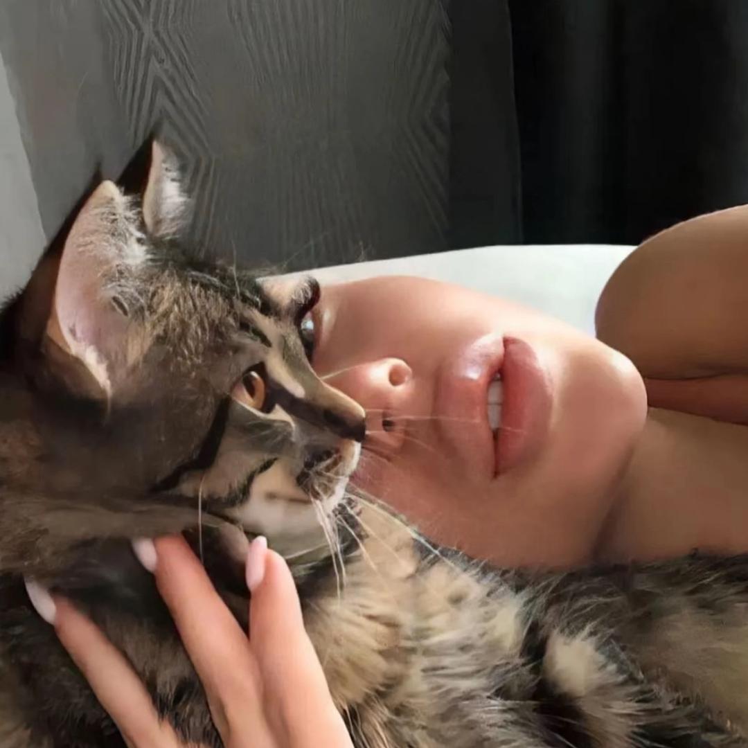 chaton🐈