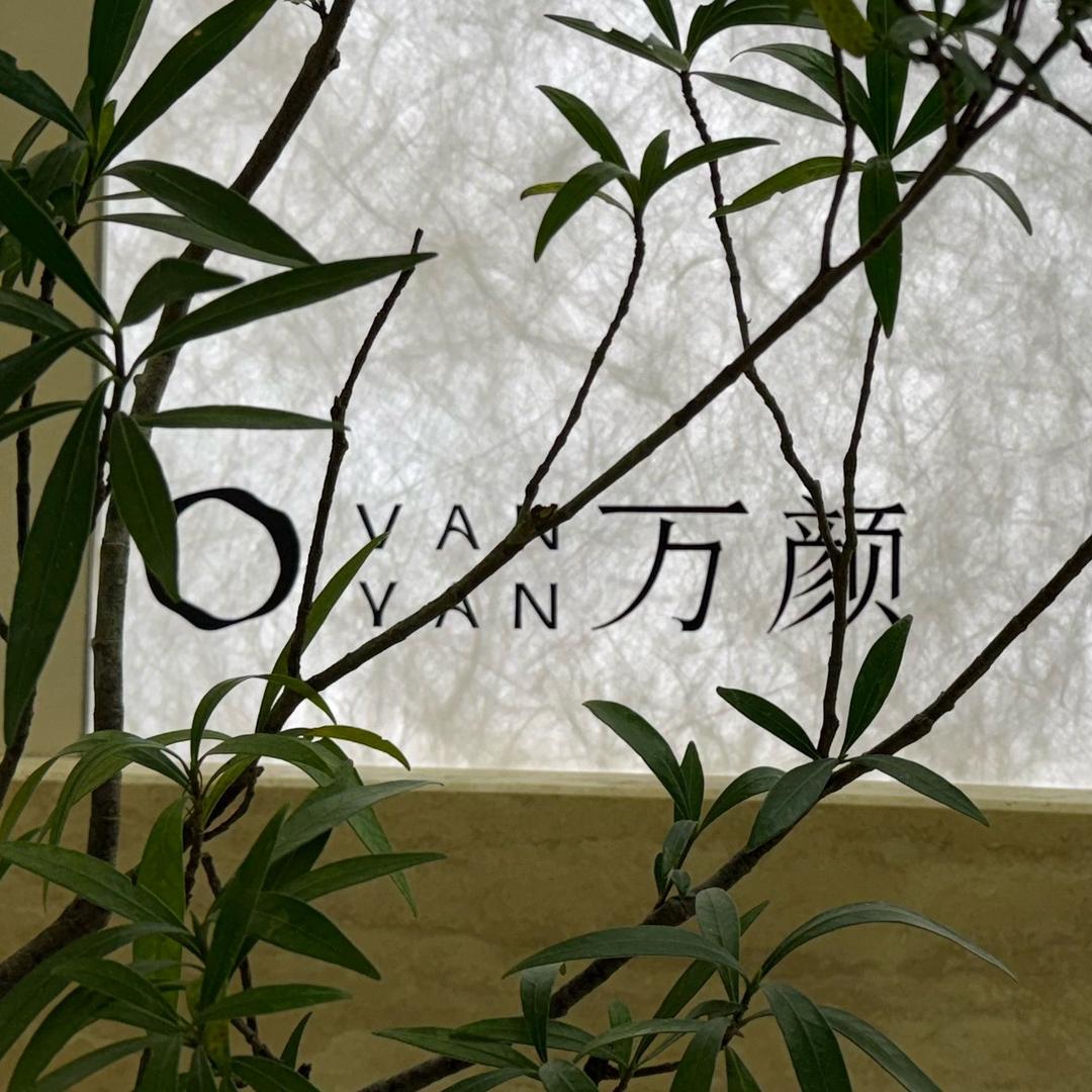 万颜小助理