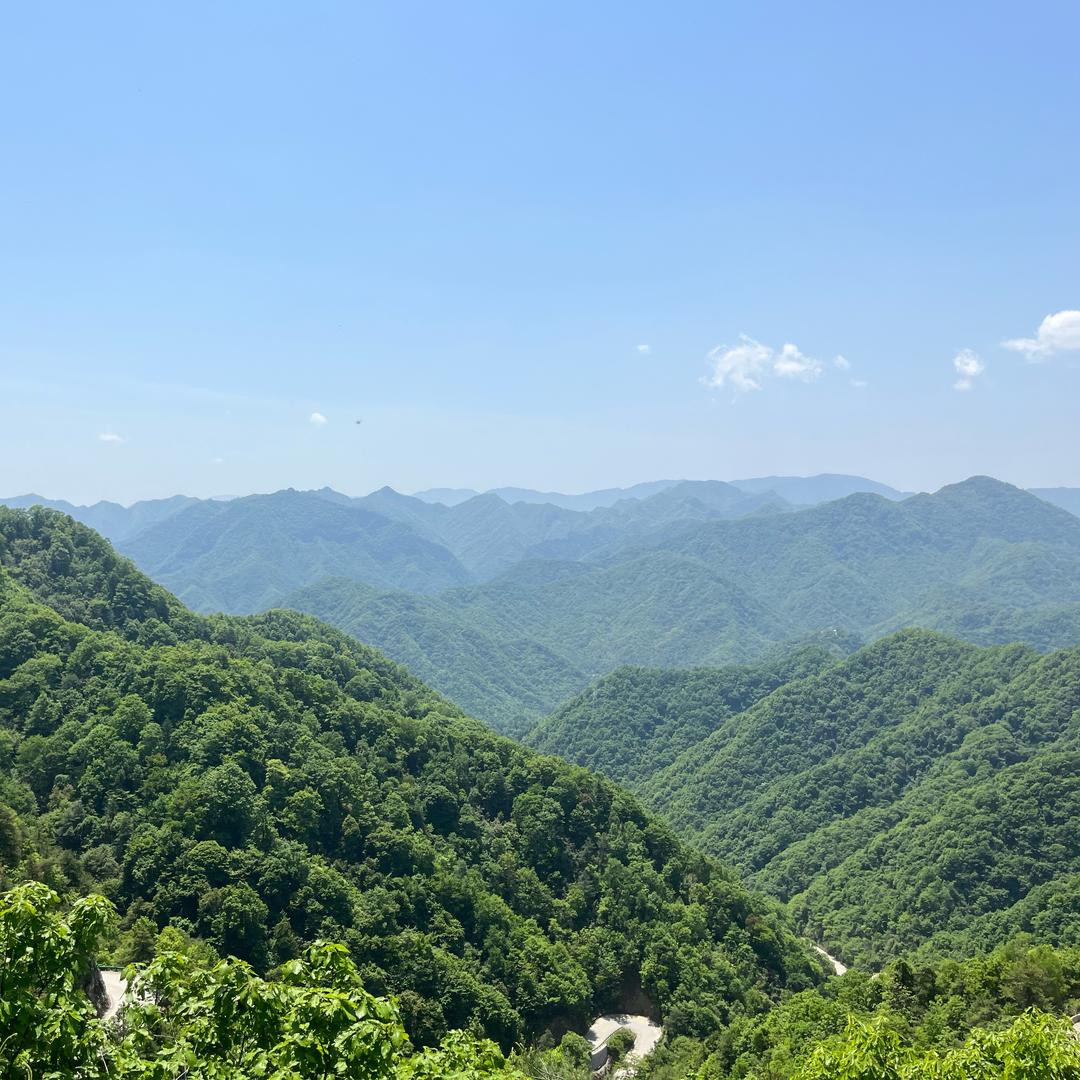 阿峰日记本(维权版）