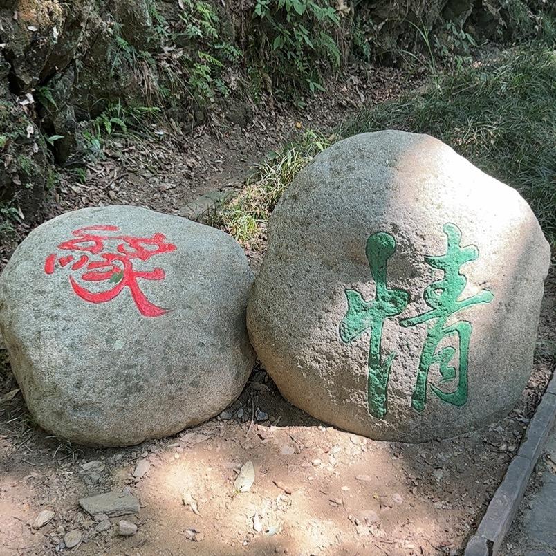 宵赵同学