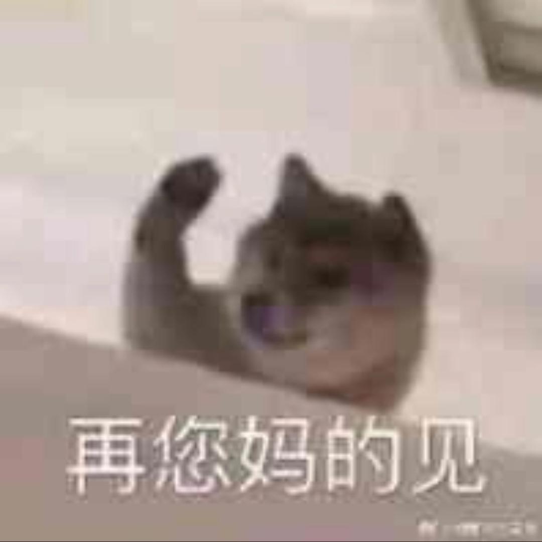 电子rubbish