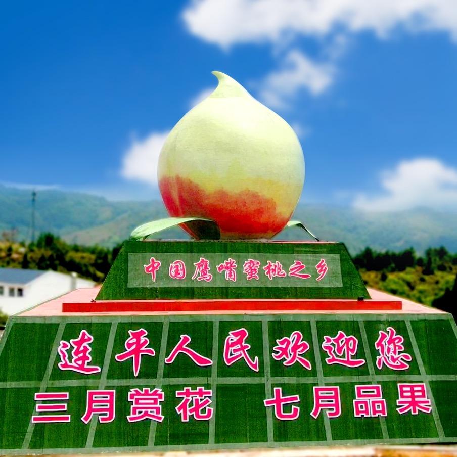 美味农家