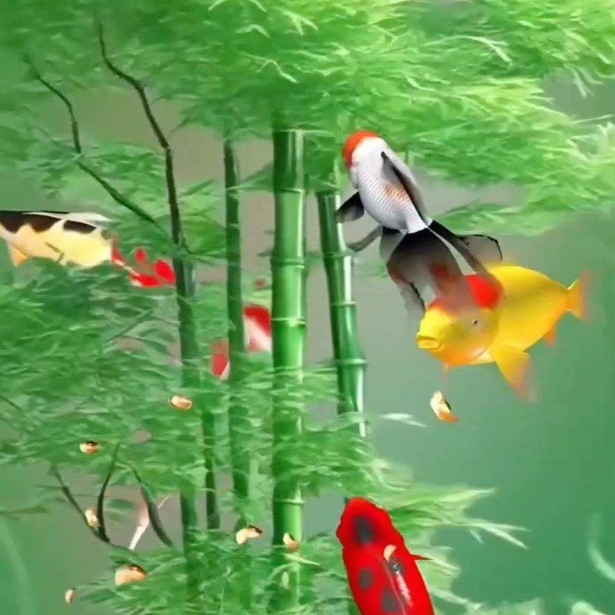 💓心向，阳光💕