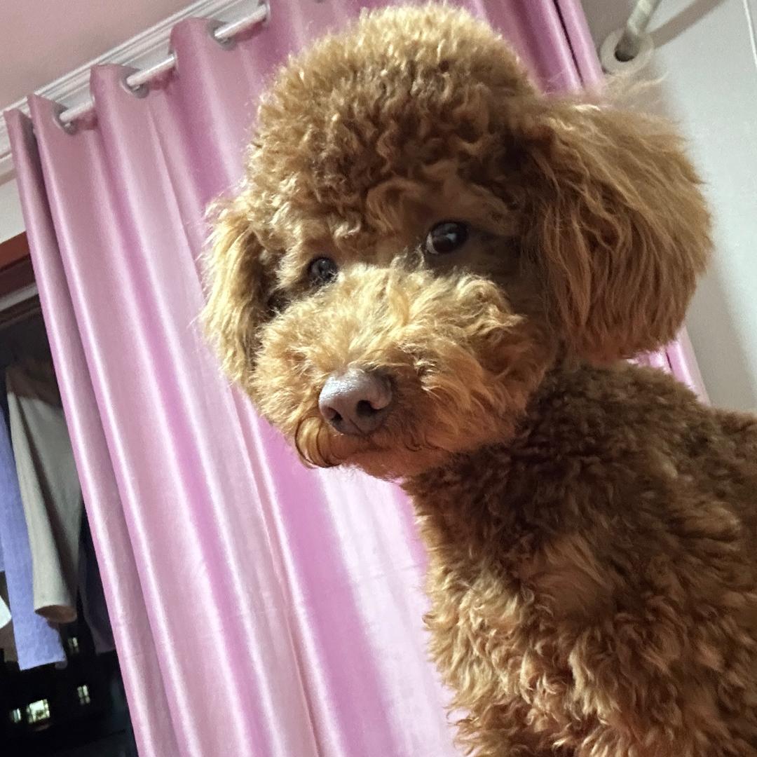 歡樂