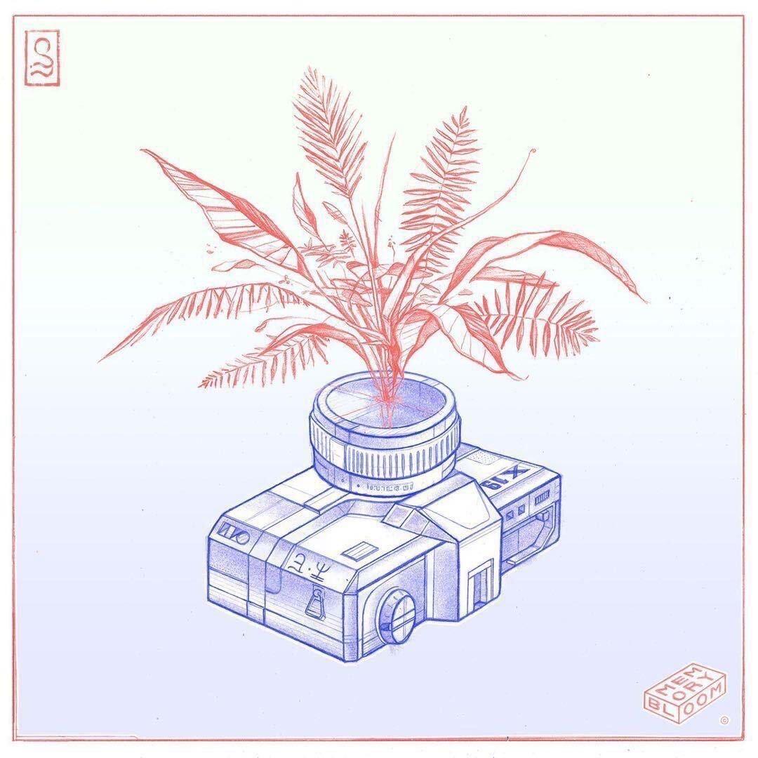 方向感📷