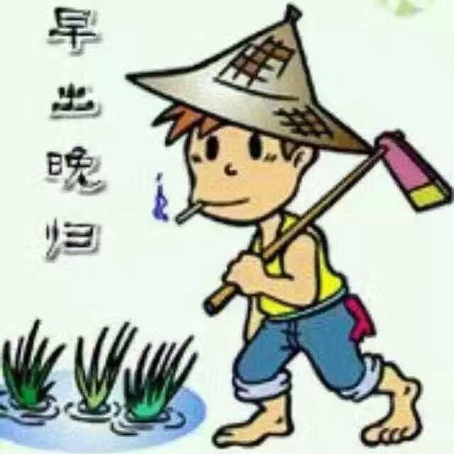 水是冰的泪
