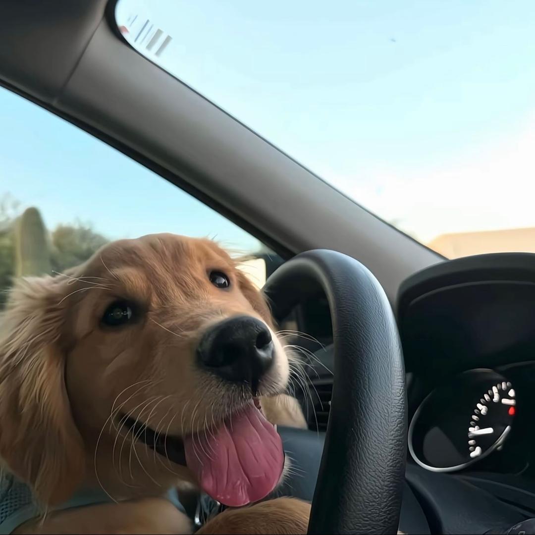 你有老公不早说