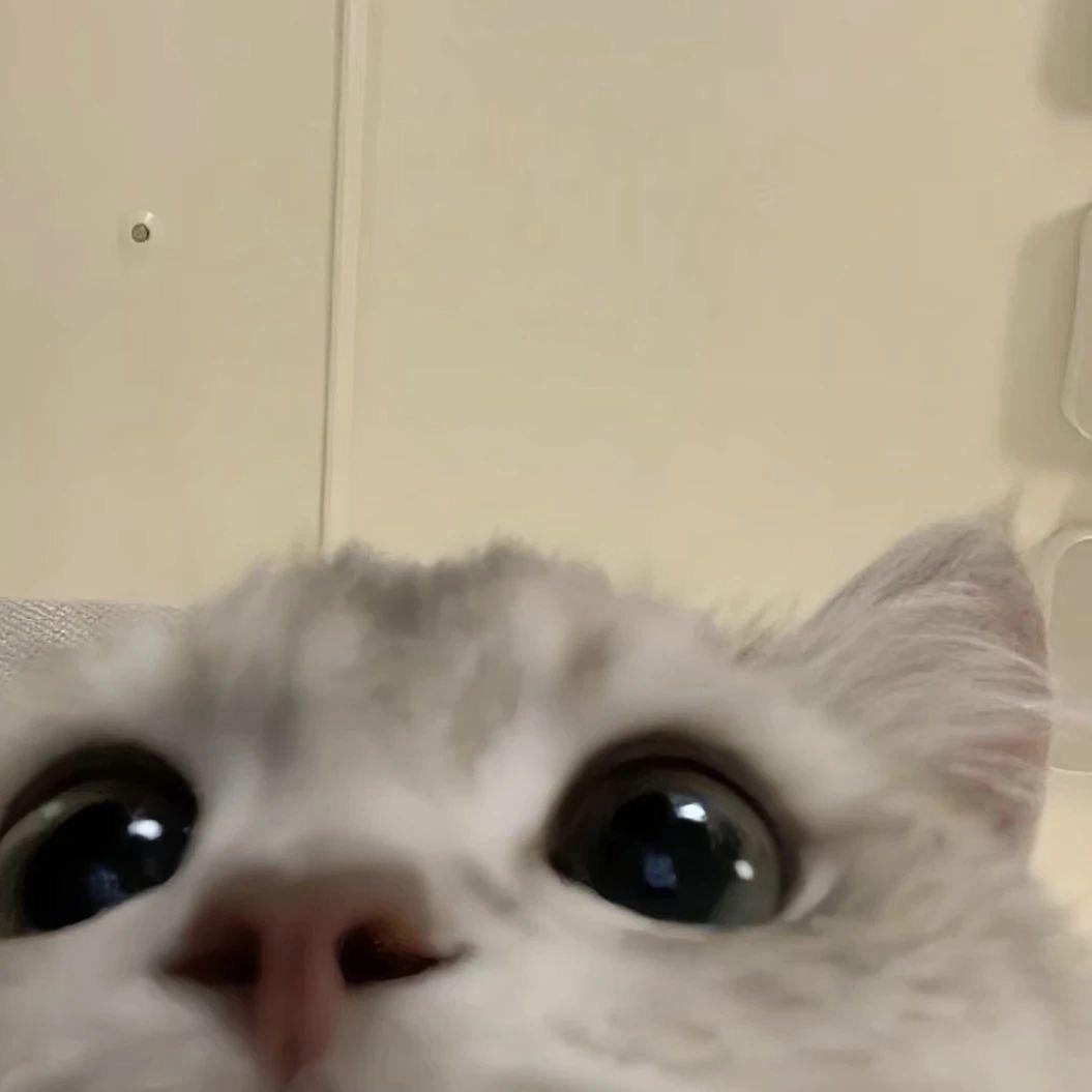 生煎包_
