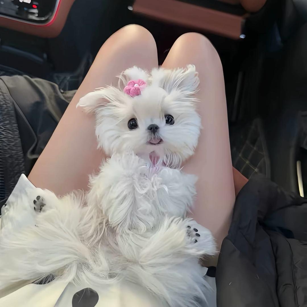 ⁷⁷