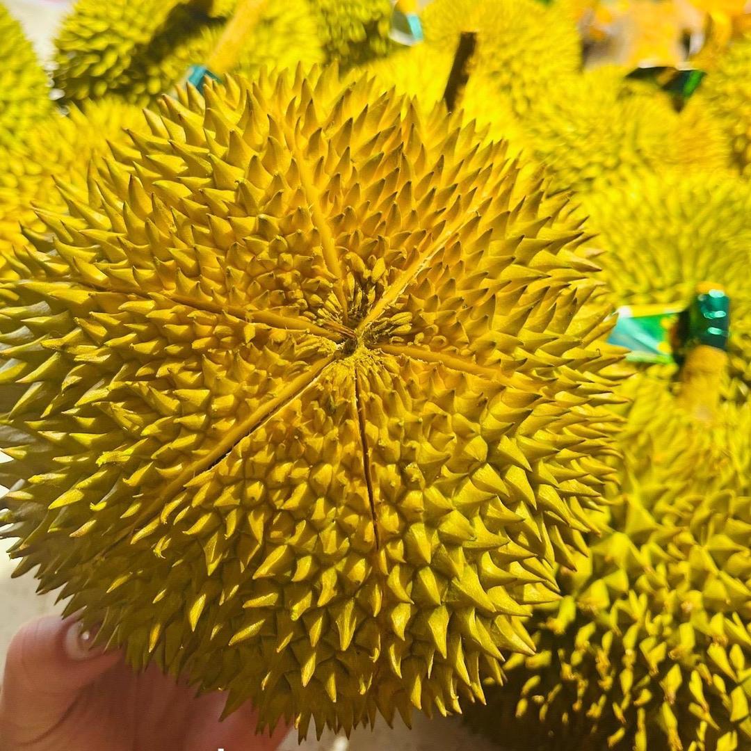 新乡市高新区仙果奇缘水果店（个体工商户）