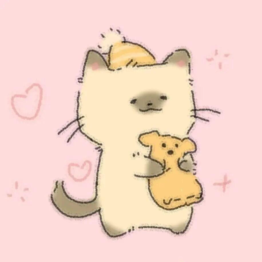 📿⁰̷̴͈ᴥ⁰̷̴͈📿