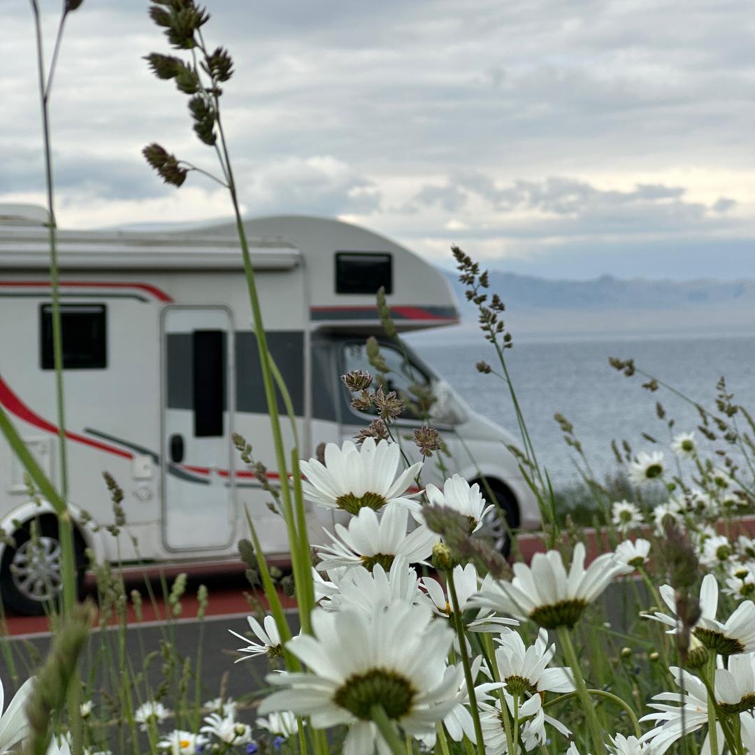 赛里木湖蓝冰营地