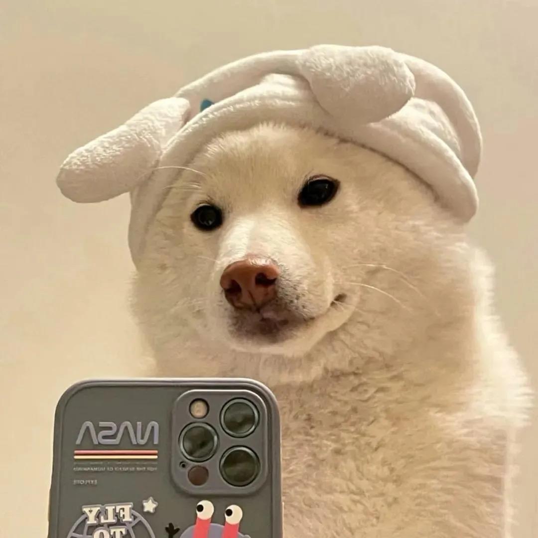 甜狗罢了