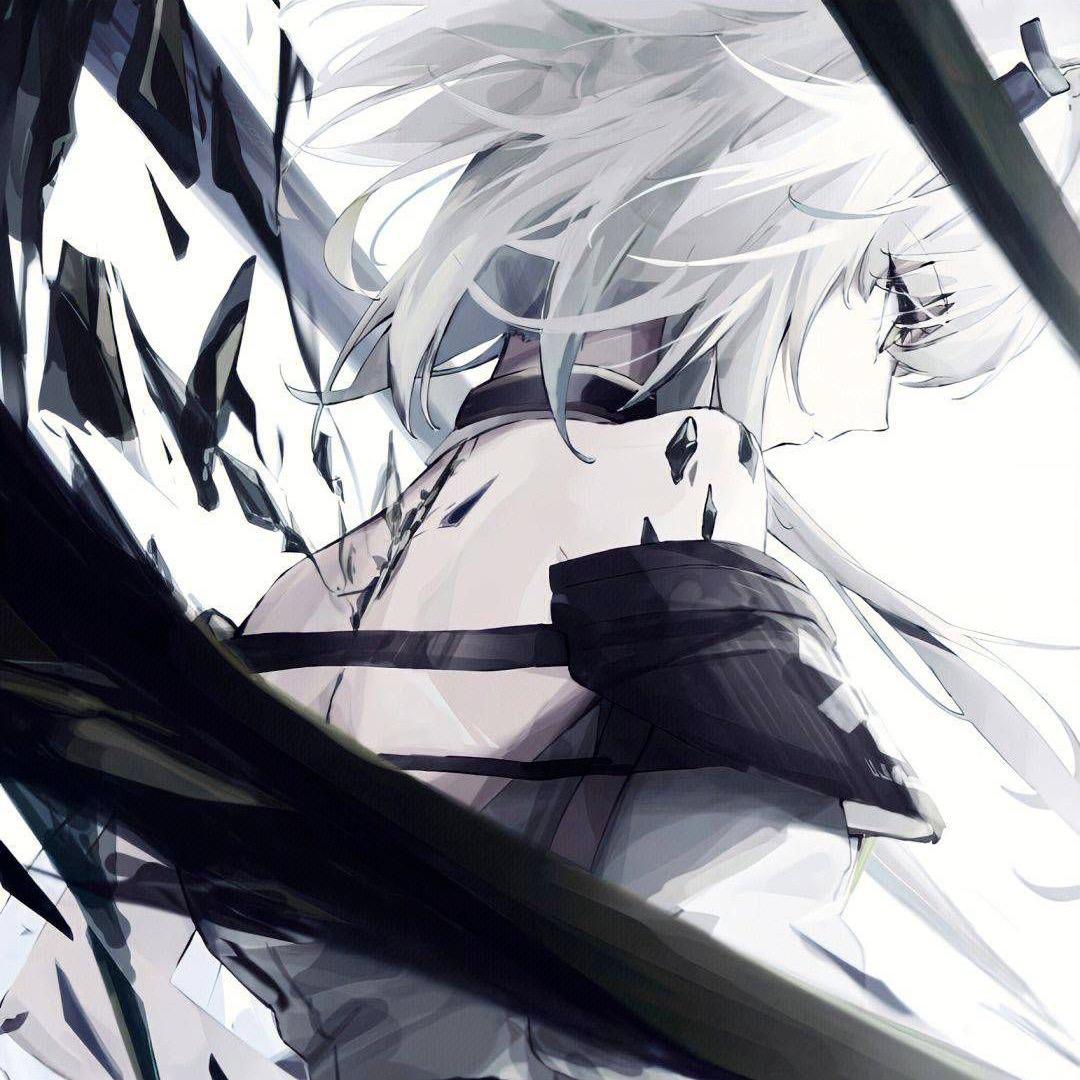 王者荣耀之愿（国服暃）