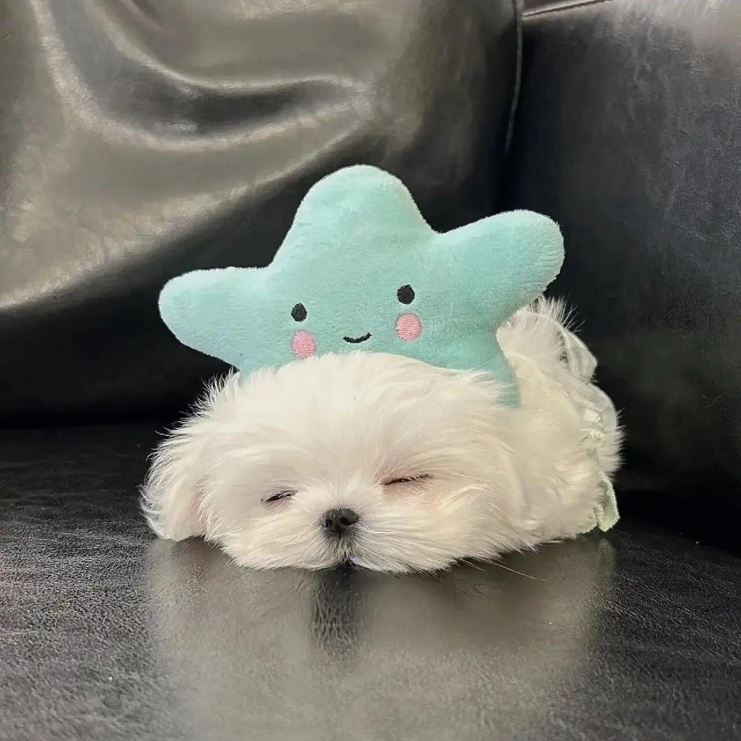 迷人👵