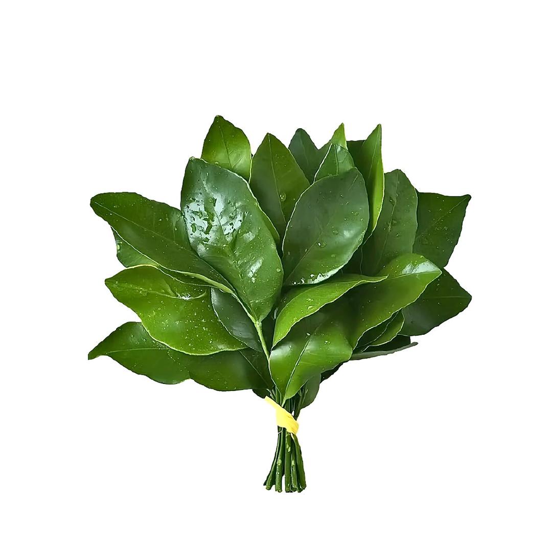 芙芙璐（发疯版）