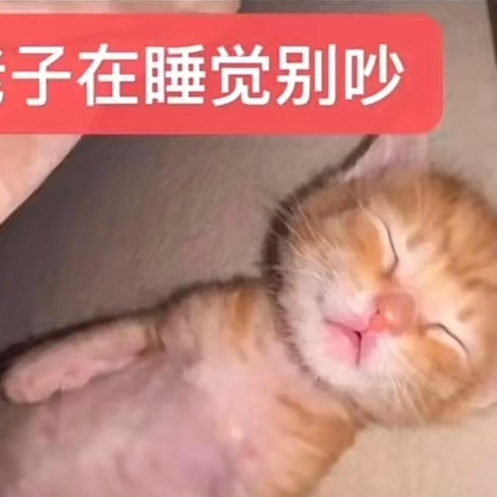 小肥羊