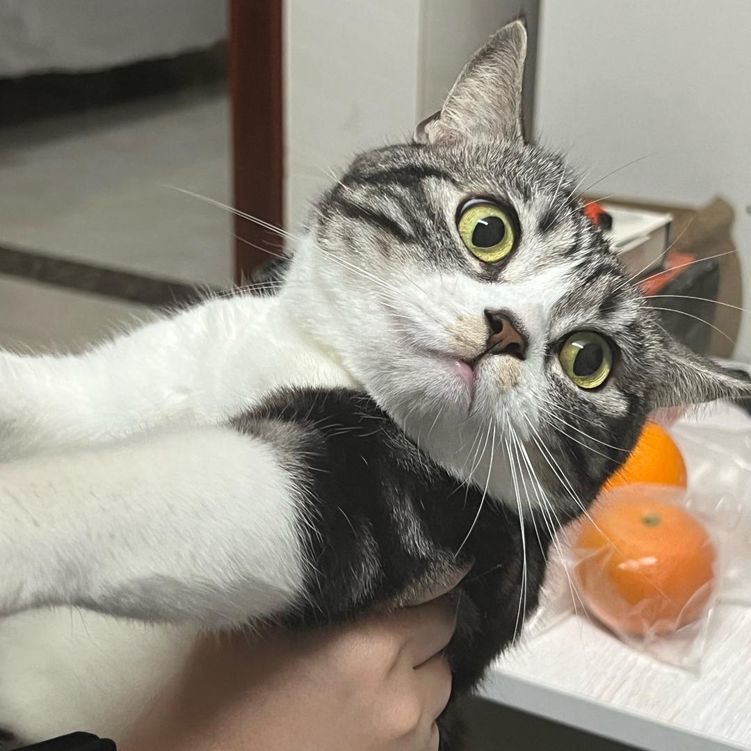 正在长头发… …