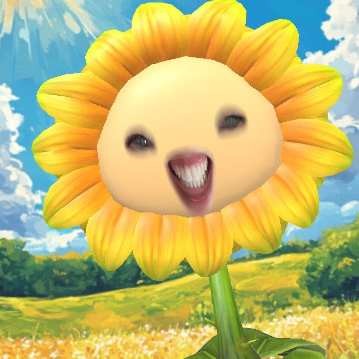 貔阿恘