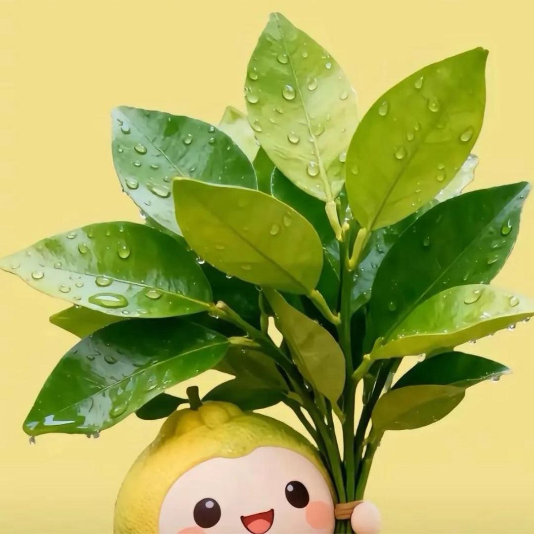 太烦了