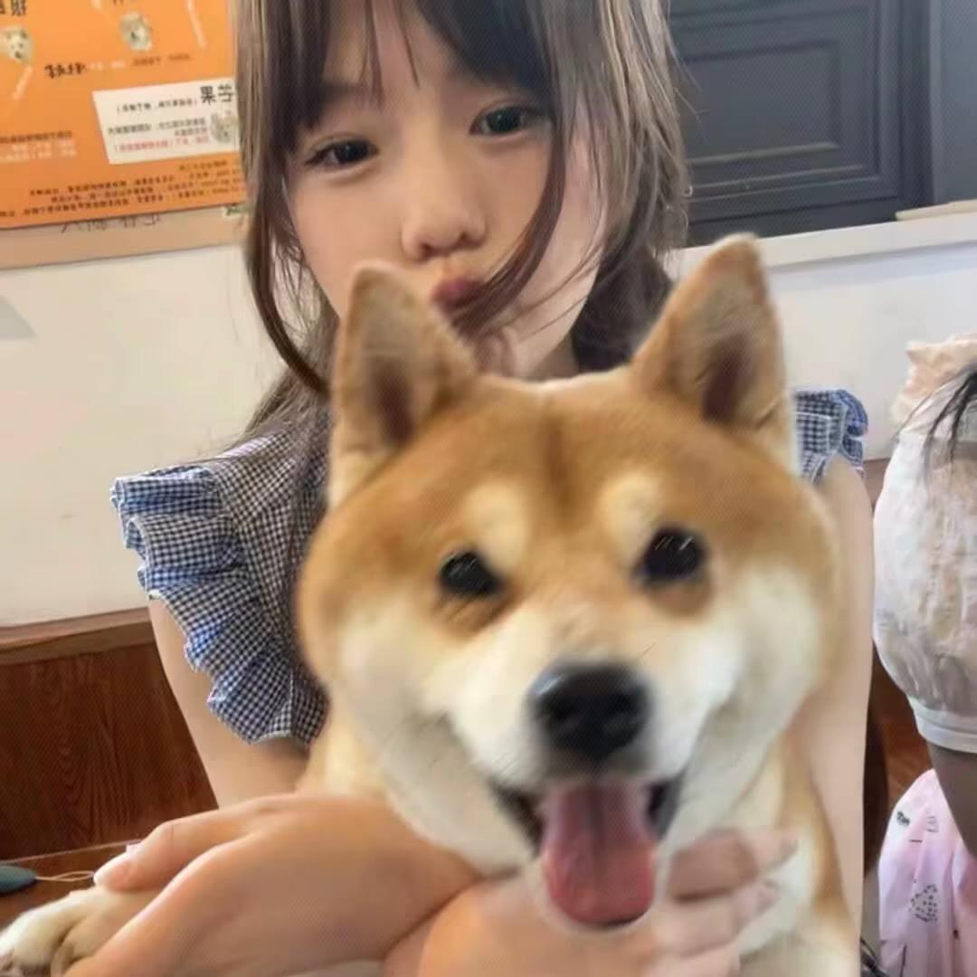 祝好梦