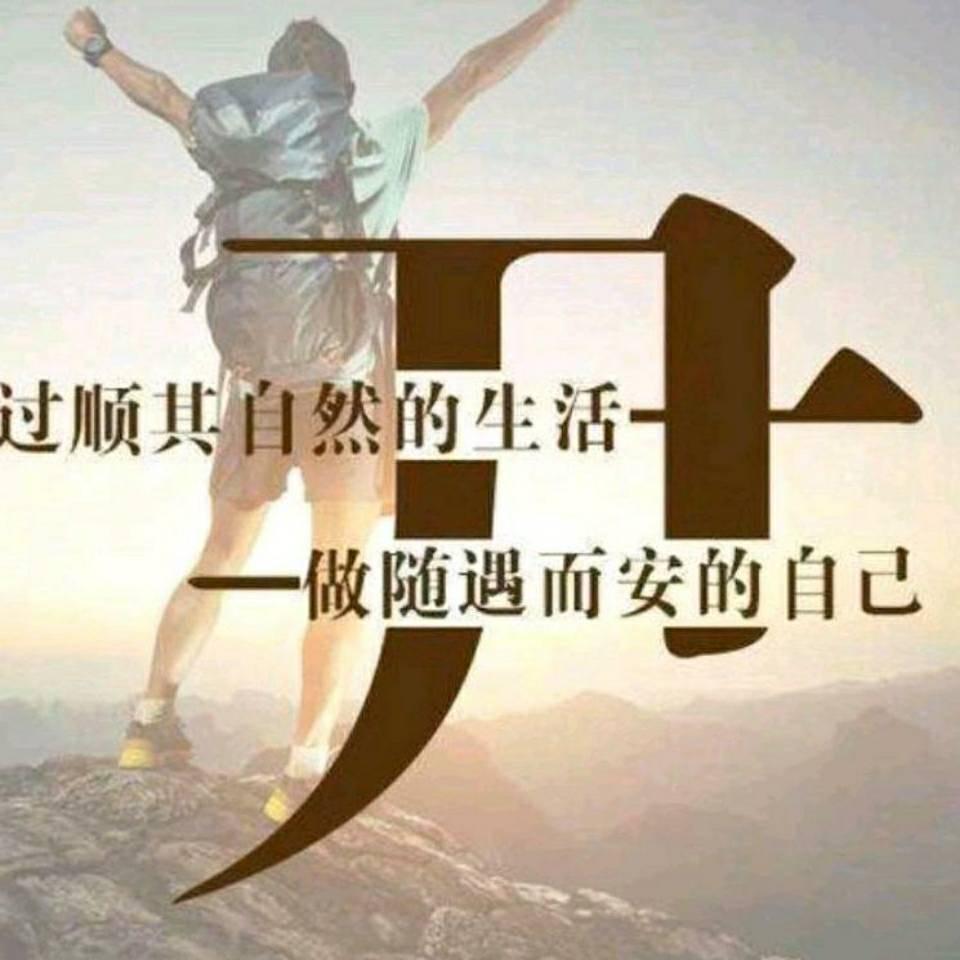 塘沽向阳顺福牛羊肉店